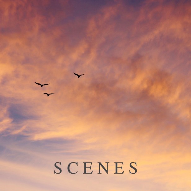 scenes album cover